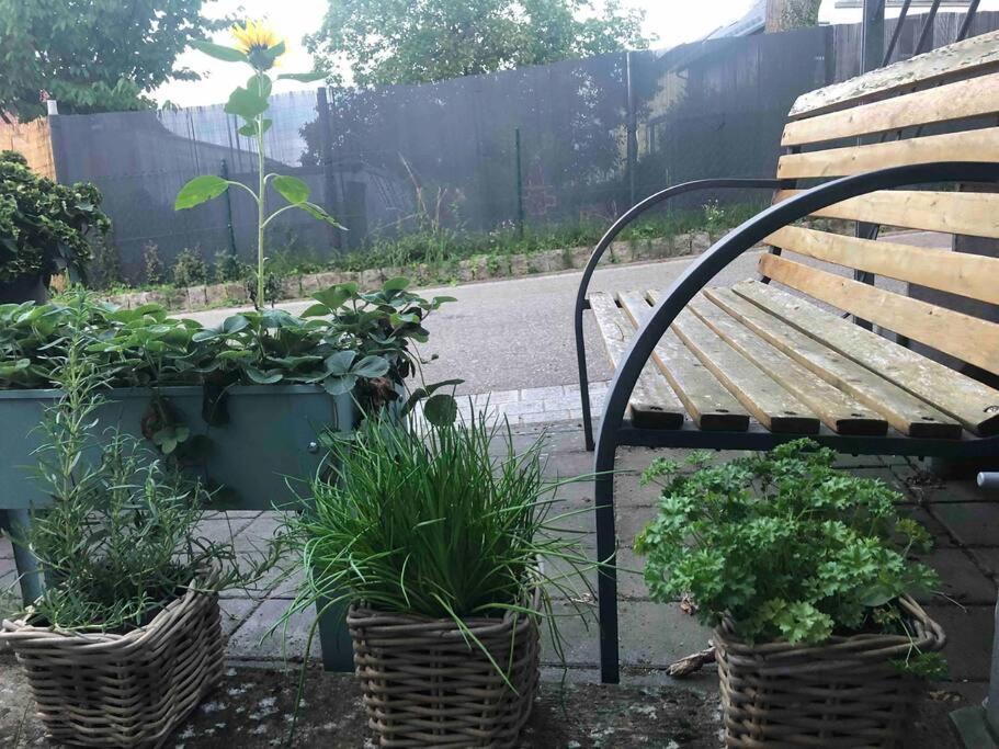 Wohnung In Gehobener Lage Bruchsal Zewnętrze zdjęcie